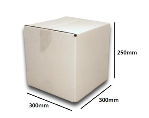 PUDEŁKO OPAKOWANIE KARTON 300x300x250 BIAŁE 50sz B