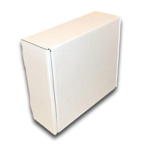 PUDEŁKO OPAKOWANIE KARTON 300x250x100 BIAŁE 25sz B