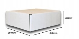 PUDEŁKO OPAKOWANIE KARTON 300x250x100 BIAŁE 50sz B