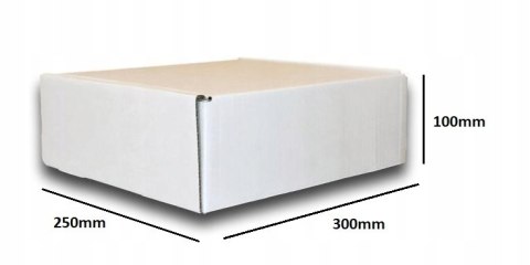 PUDEŁKO OPAKOWANIE KARTON 300x250x100 BIAŁE 50sz E