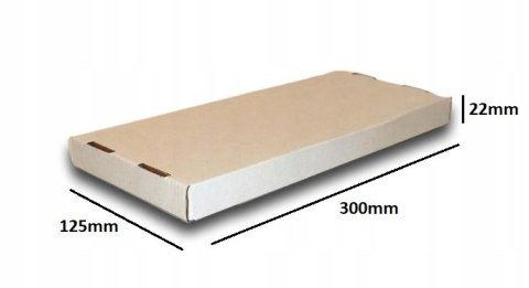 PUDEŁKO OPAKOWANIE na DOKUMENTY 300x125x22 BIAŁE 10szt E